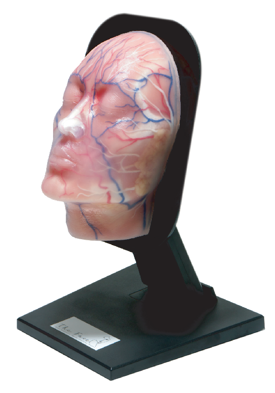 The Face